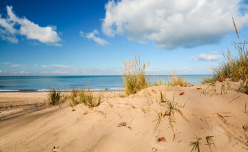 Tekstura imitacja piasek - plaża - Terrains Beach Sand, Ak Interactive AK8019