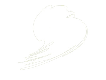 HTK-B101-10ml Traffic White (RAL 9016)