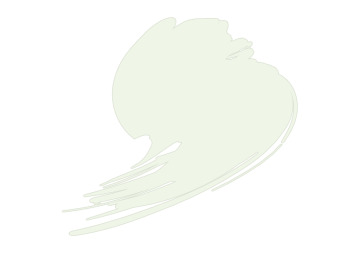 HTK-B049-10ml Insignia White (FS17875, ANA 511)
